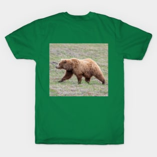 Mother Grizzly Bear Side View T-Shirt